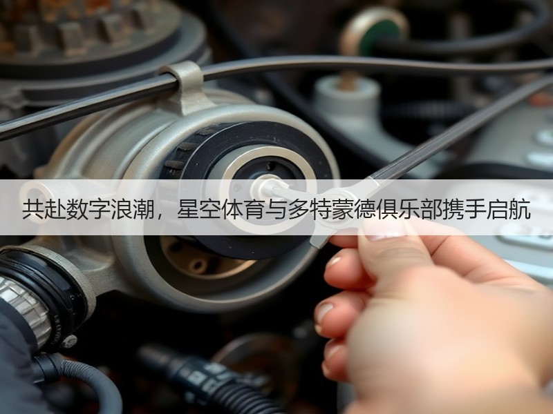 共赴数字浪潮，星空体育与多特蒙德俱乐部携手启航