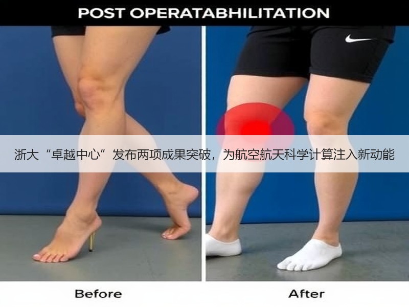 浙大“卓越中心”发布两项成果突破，为航空航天科学计算注入新动