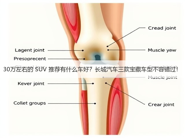 30万左右的 SUV 推荐有什么车好？长城汽车三款宝藏车型不容错过！(图3)