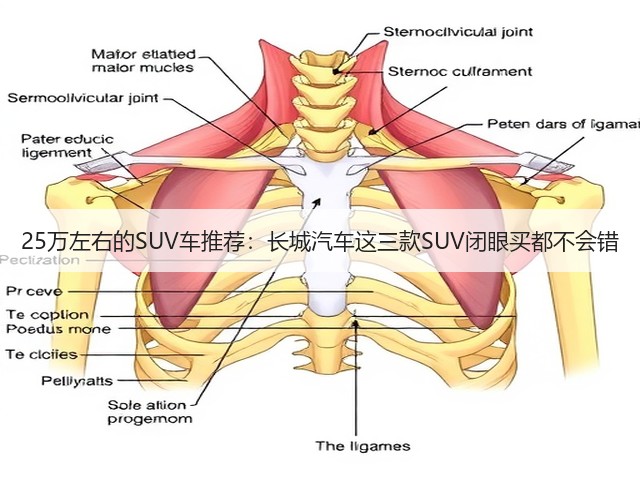 25万左右的SUV车推荐:长城汽车这三款SUV闭眼买都不会错(图2) 25万左右的SUV车推荐:长城汽车这三款SUV闭眼买都不会错(图2)