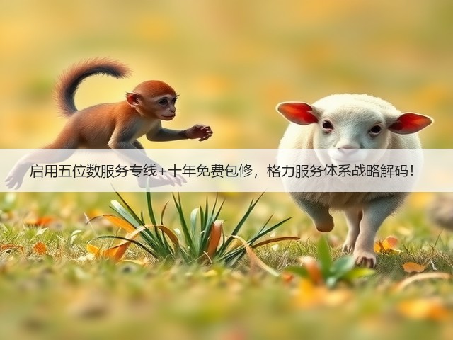 启用五位数服务专线+十年免费包修，格力服务体系战略解码！(图3)