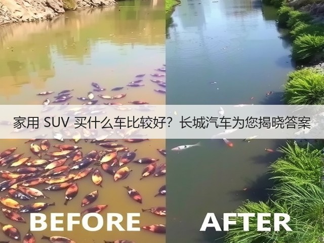 家用 SUV 买什么车比较好？长城汽车为您揭晓答案(图3)