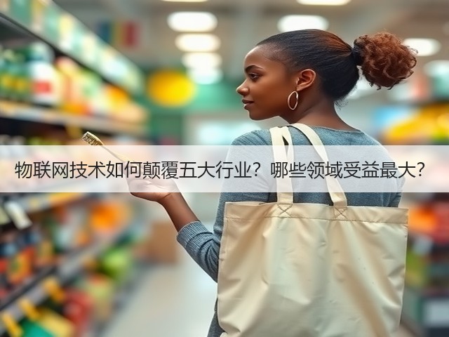 物联网技术如何颠覆五大行业?哪些领域受益最大?(图2) 物联网技术如何颠覆五大行业?哪些领域受益最大?(图2)