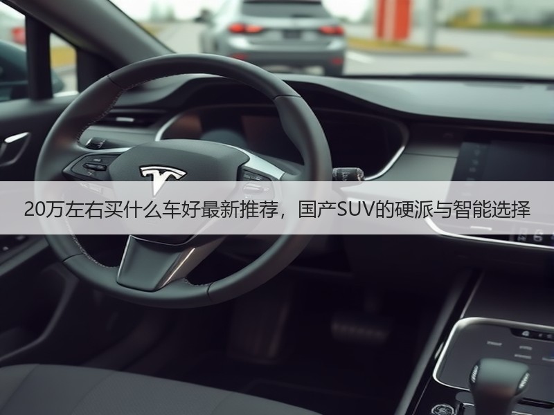 20万左右买什么车好最新推荐，国产SUV的硬派与智能选择