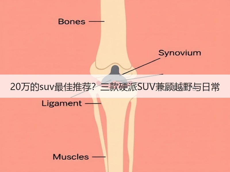 20万的suv最佳推荐？三款硬派SUV兼顾越野与日常