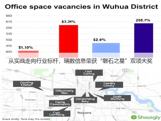 从实战走向行业标杆，瑞数信息荣获“磐石之星”双项大奖(图2)