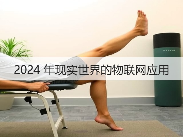 2024 年现实世界的物联网应用(图2) 2024 年现实世界的物联网应用(图2)