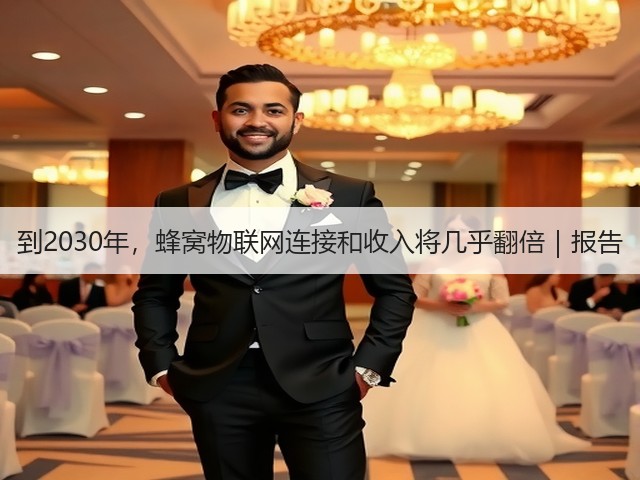 到2030年,蜂窝物联网连接和收入将几乎翻倍|报告(图3) 到2030年,蜂窝物联网连接和收入将几乎翻倍|报告(图3)