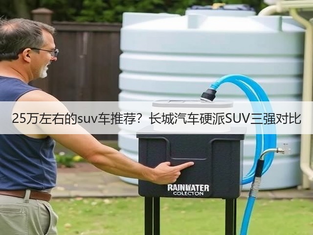 25万左右的suv车推荐?长城汽车硬派SUV三强对比(图2) 25万左右的suv车推荐?长城汽车硬派SUV三强对比(图2)