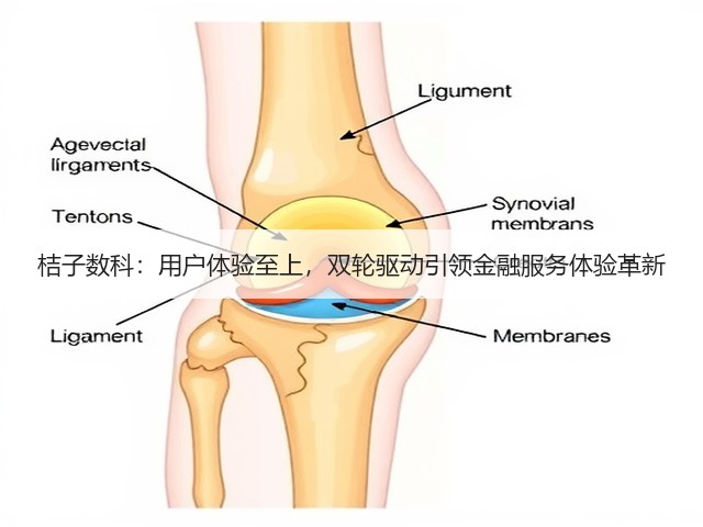 桔子数科:用户体验至上,双轮驱动引领金融服务体验革新(图2) 桔子数科:用户体验至上,双轮驱动引领金融服务体验革新(图2)