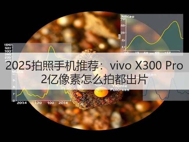 2025拍照手机推荐:vivo X300 Pro 2亿像素怎么拍都出片(图3) 2025拍照手机推荐:vivo X300 Pro 2亿像素怎么拍都出片(图3)