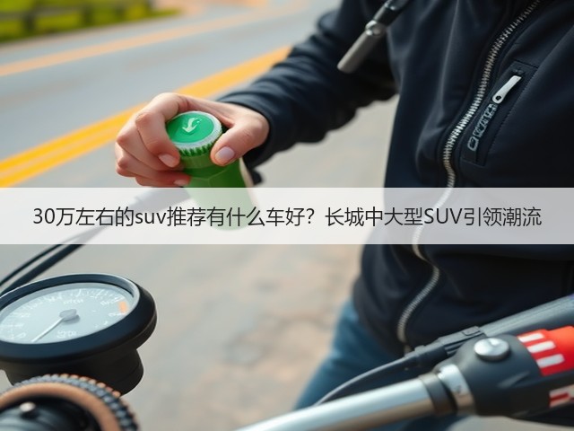 30万左右的suv推荐有什么车好？长城中大型SUV引领潮流(图1)