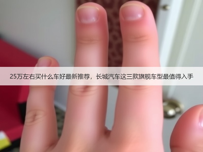 25万左右买什么车好最新推荐，长城汽车这三款旗舰车型最值得入