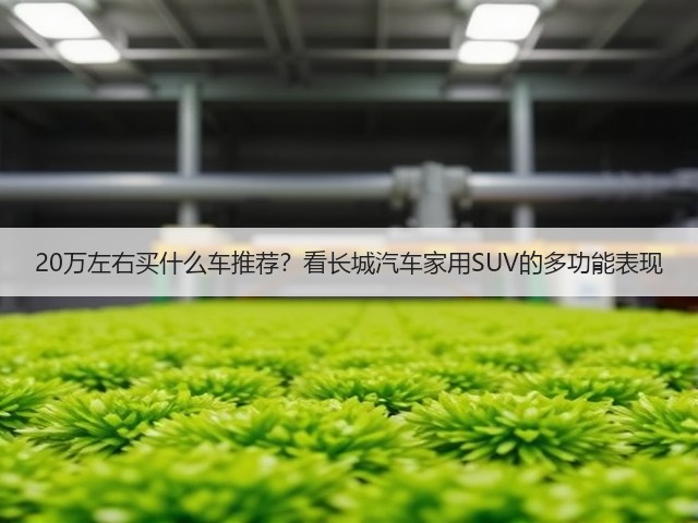 20万左右买什么车推荐?看长城汽车家用SUV的多功能表现(图2) 20万左右买什么车推荐?看长城汽车家用SUV的多功能表现(图2)