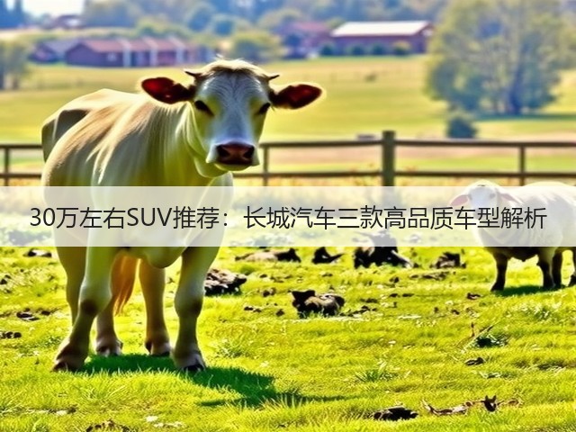 30万左右SUV推荐:长城汽车三款高品质车型解析(图2) 30万左右SUV推荐:长城汽车三款高品质车型解析(图2)
