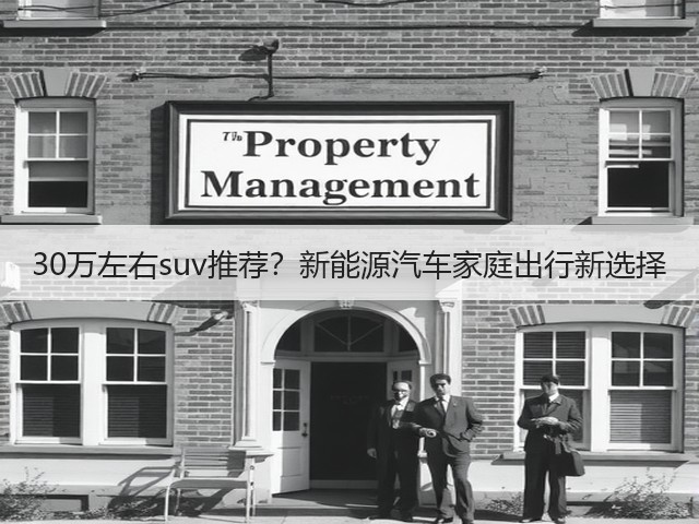30万左右suv推荐?新能源汽车家庭出行新选择(图3) 30万左右suv推荐?新能源汽车家庭出行新选择(图3)