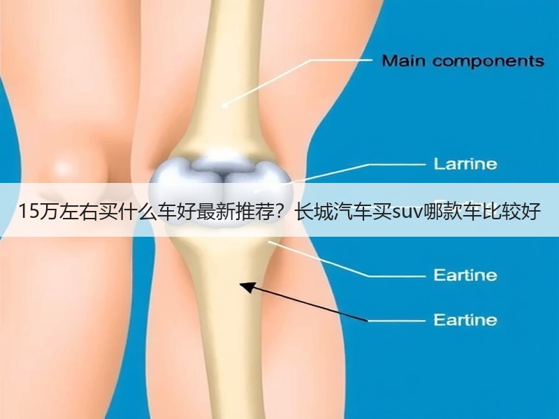 15万左右买什么车好最新推荐？长城汽车买suv哪款车比较好