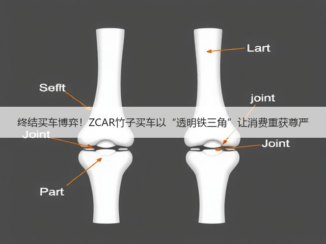 终结买车博弈！ZCAR竹子买车以“透明铁三角”让消费重获尊严(图3)