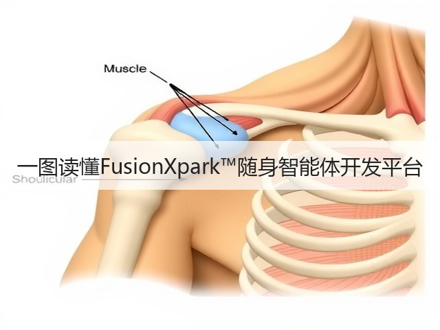 一图读懂FusionXpark™随身智能体开发平台(图3)