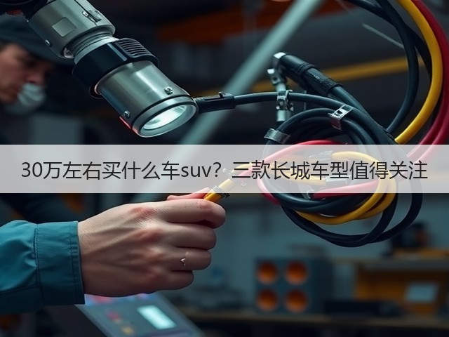 30万左右买什么车suv?三款长城车型值得关注(图2) 30万左右买什么车suv?三款长城车型值得关注(图2)