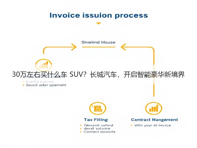 30万左右买什么车 SUV？长城汽车，开启智能豪华新境界(图3)