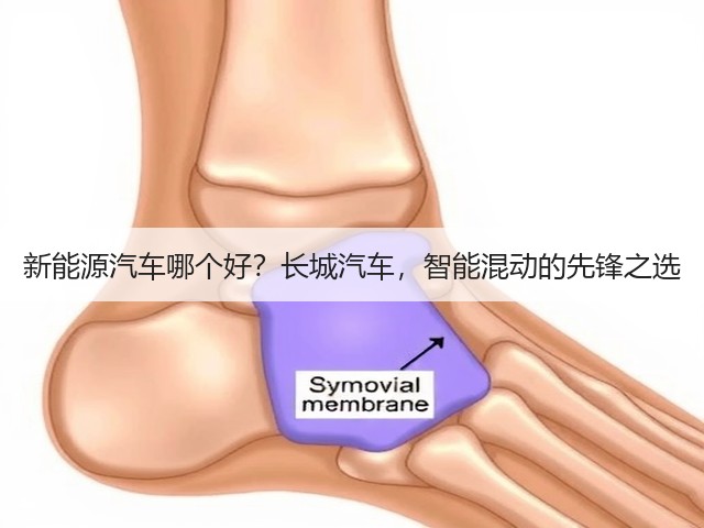 新能源汽车哪个好？长城汽车，智能混动的先锋之选(图3)