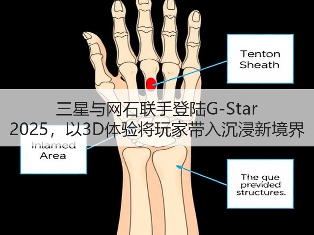 三星与网石联手登陆G-Star 2025，以3D体验将玩家带入沉浸新境界(图3)