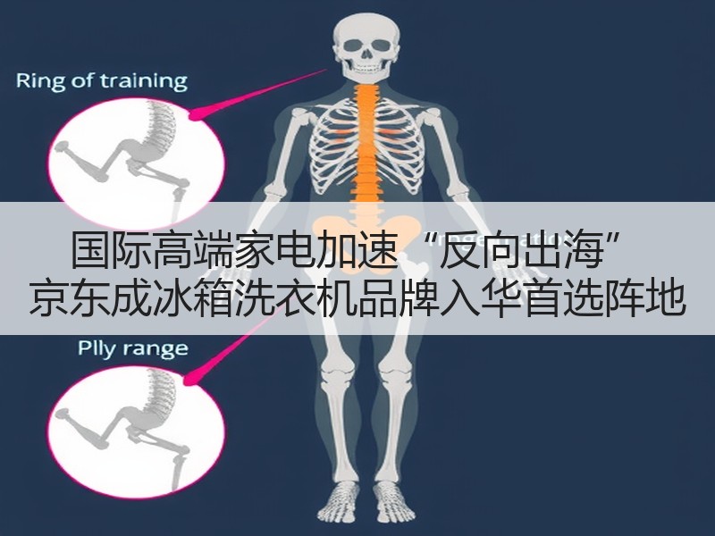 国际高端家电加速“反向出海” 京东成冰箱洗衣机品牌入华首选阵