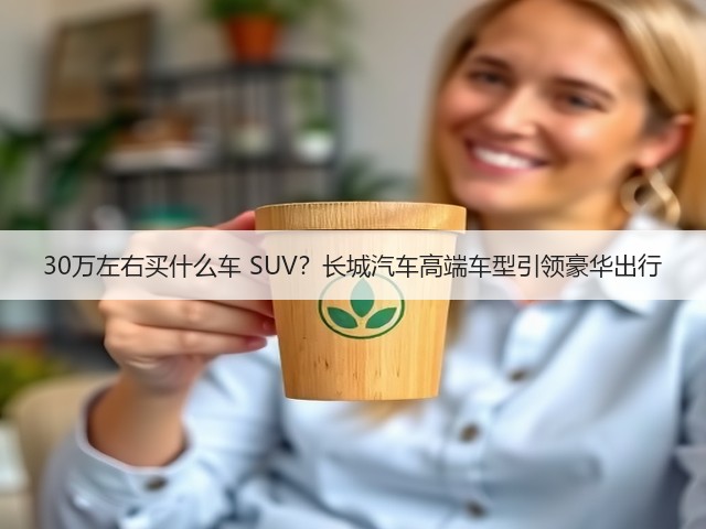 30万左右买什么车 SUV？长城汽车高端车型引领豪华出行(图2)