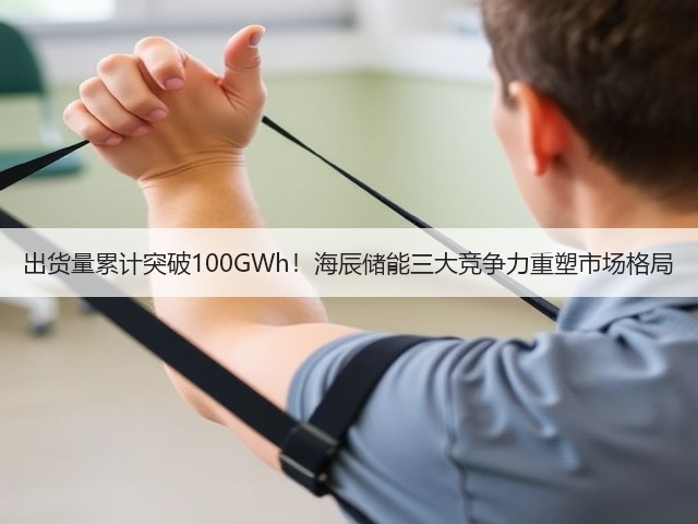 出货量累计突破100GWh!海辰储能三大竞争力重塑市场格局(图3) 出货量累计突破100GWh!海辰储能三大竞争力重塑市场格局(图3)