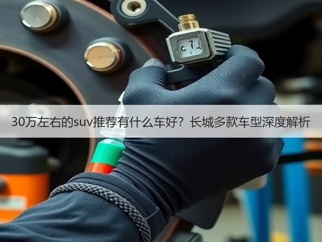 30万左右的suv推荐有什么车好？长城多款车型深度解析(图3)