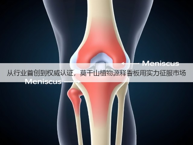从行业首创到权威认证，莫干山植物源释香板用实力征服市场(图3)
