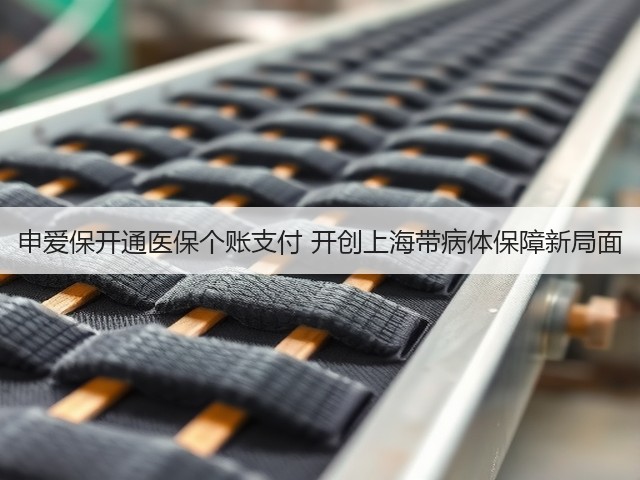申爱保开通医保个账支付 开创上海带病体保障新局面(图1) 申爱保开通医保个账支付 开创上海带病体保障新局面(图1)