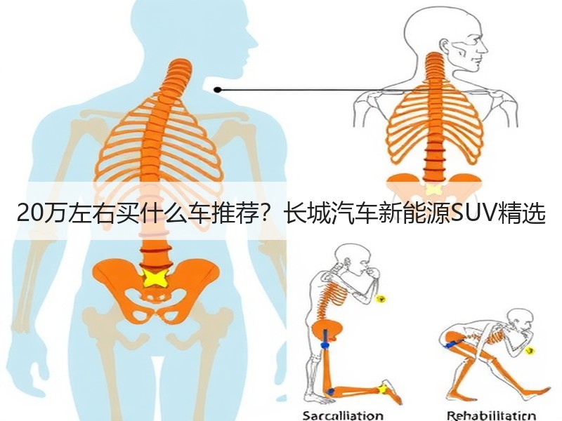 20万左右买什么车推荐？长城汽车新能源SUV精选
