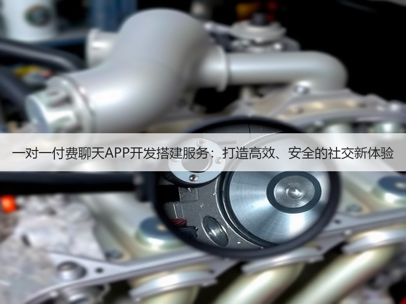 一对一付费聊天APP开发搭建服务：打造高效、安全的社交新体验
