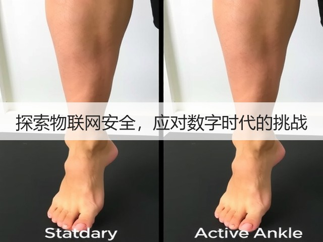 探索物联网安全,应对数字时代的挑战(图1) 探索物联网安全,应对数字时代的挑战(图1)