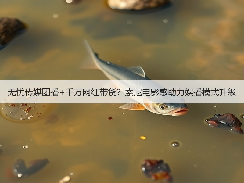无忧传媒团播+千万网红带货？索尼电影感助力娱播模式升级