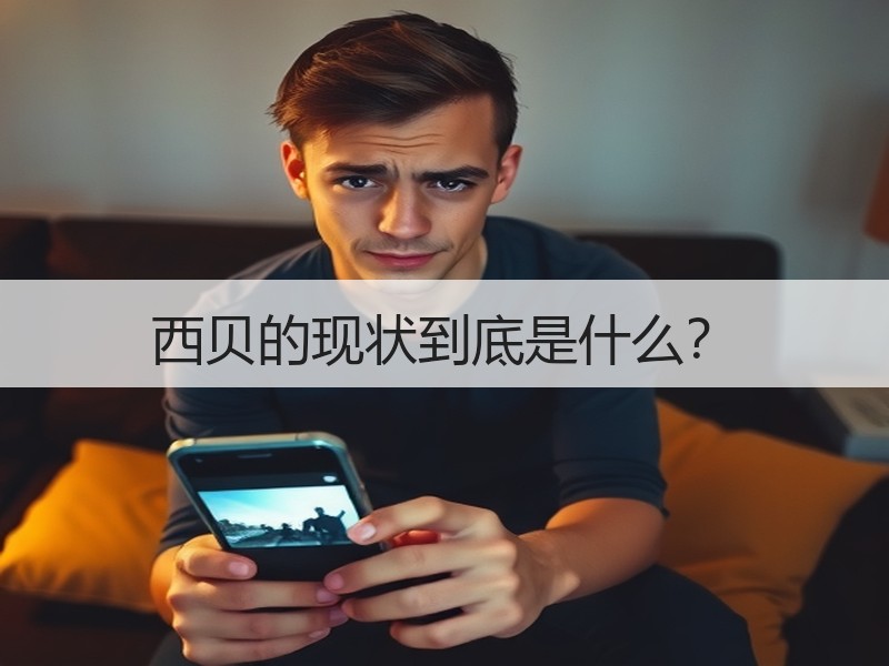 西贝的现状到底是什么？