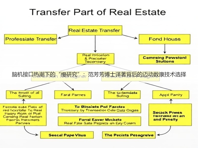 脑机接口热潮下的“慢研究”：范芳芳博士译著背后的迈动数康技术