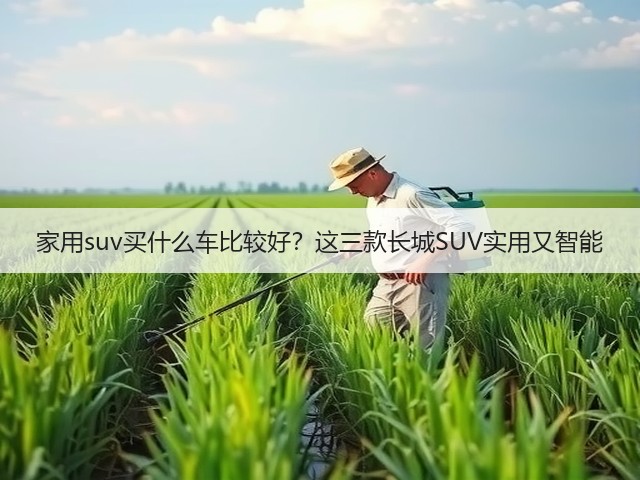 家用suv买什么车比较好?这三款长城SUV实用又智能(图2) 家用suv买什么车比较好?这三款长城SUV实用又智能(图2)