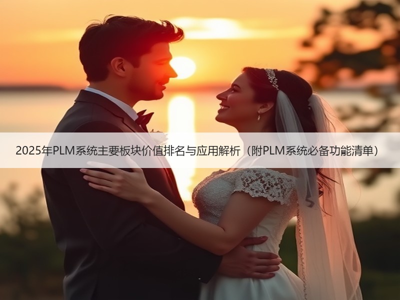 2025年PLM系统主要板块价值排名与应用解析（附PLM系统