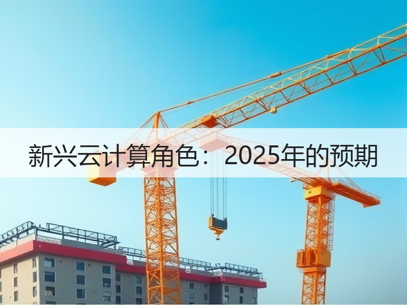 新兴云计算角色：2025年的预期
