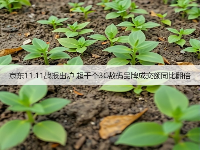 京东11.11战报出炉 超千个3C数码品牌成交额同比翻倍