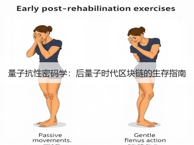 量子抗性密码学:后量子时代区块链的生存指南(图2) 量子抗性密码学:后量子时代区块链的生存指南(图2)