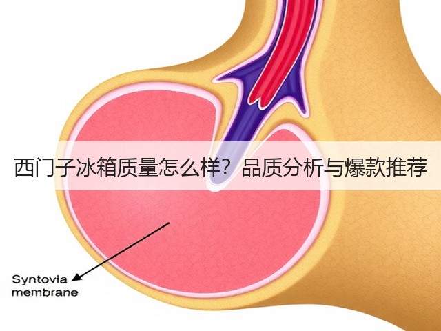 西门子冰箱质量怎么样?品质分析与爆款推荐(图2) 西门子冰箱质量怎么样?品质分析与爆款推荐(图2)
