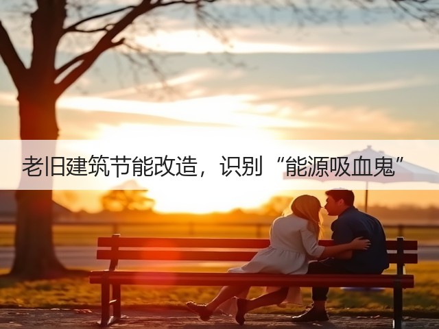 老旧建筑节能改造,识别“能源吸血鬼”(图3) 老旧建筑节能改造,识别“能源吸血鬼”(图3)
