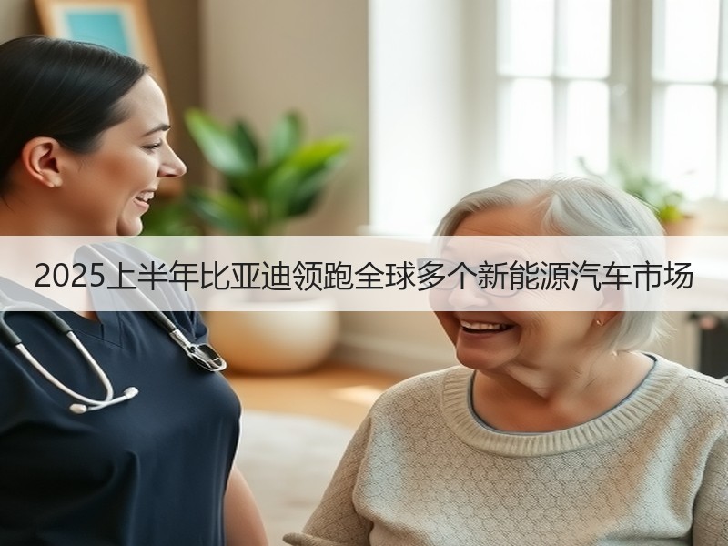 2025上半年比亚迪领跑全球多个新能源汽车市场