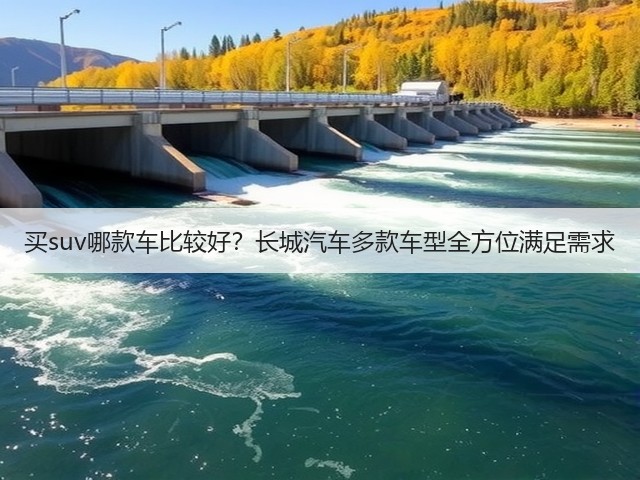 买suv哪款车比较好？长城汽车多款车型全方位满足需求(图2)