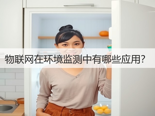 物联网在环境监测中有哪些应用？(图3)