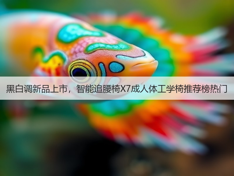 黑白调新品上市，智能追腰椅X7成人体工学椅推荐榜热门